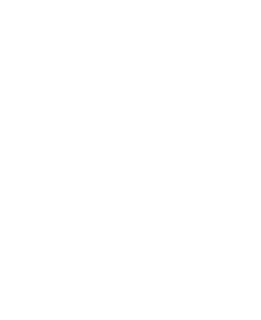 GM Concept